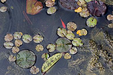 《沙石镇时光》Demo免费登陆Steam 多人模式首次公布